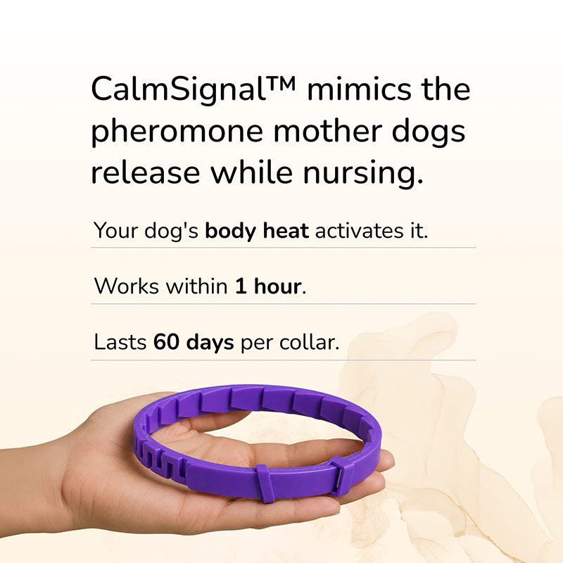 Sage & Pip Calming Collars