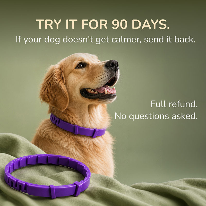 Sage & Pip Calming Collars